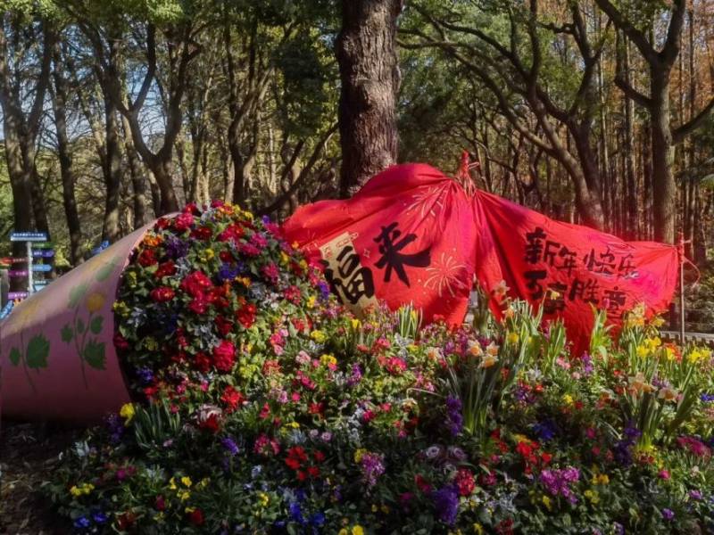 2025上海新春市民水仙花展(时间+地点+门票)(2) 2025上海新春市民水仙花展(时间+地点+门票)(2)