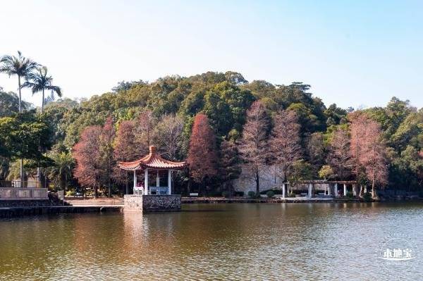 深圳仙湖植物园元宵节开放时间2025