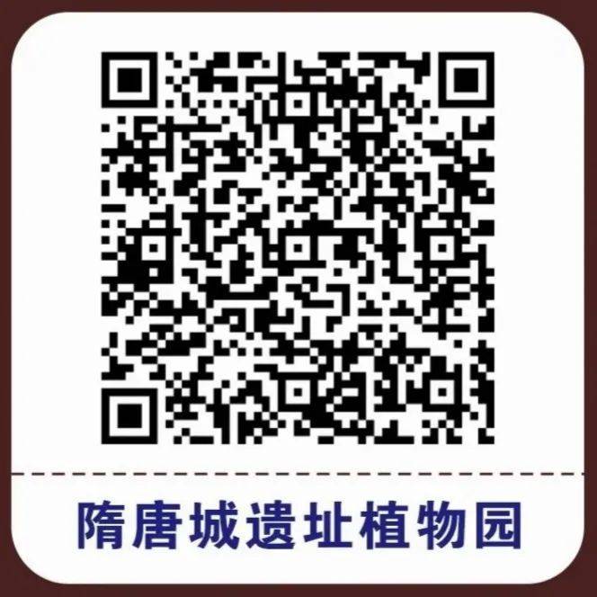 2025隋唐城遗址植物园庙会暨新春灯会(时间+购票入口+交通指南) 2025隋唐城遗址植物园庙会暨新春灯会(时间+购票入口+交通指南)