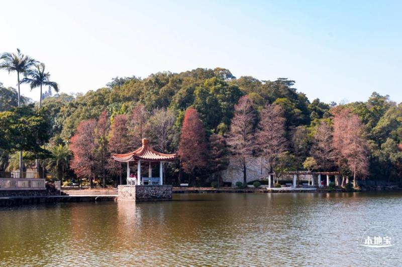 仙湖植物园免费开放时间什么时候