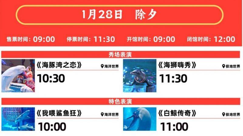 2025大连圣亚海洋世界春节表演时间表（2）