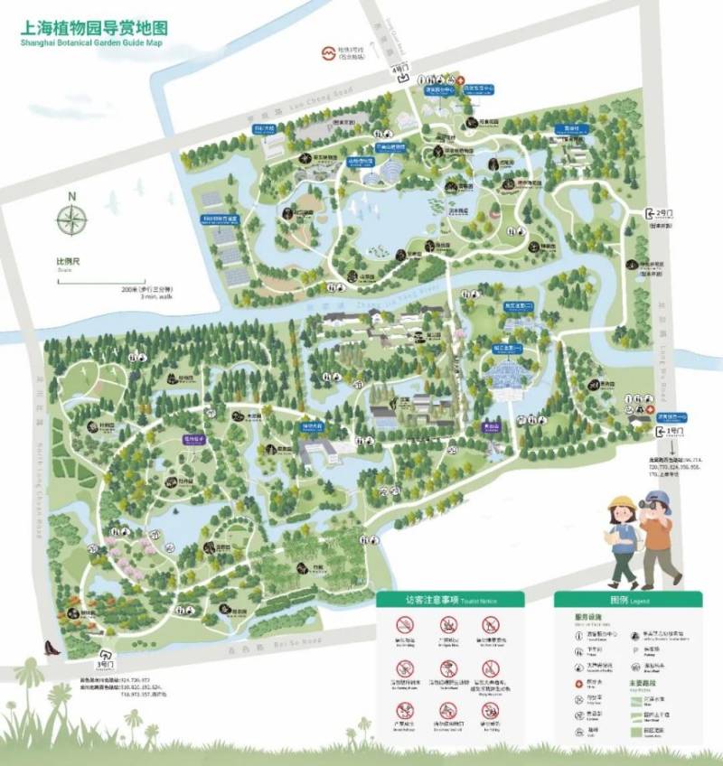 2025上海植物园年宵花展攻略(时间+门票+看点+交通)(6) 2025上海植物园年宵花展攻略(时间+门票+看点+交通)(6)