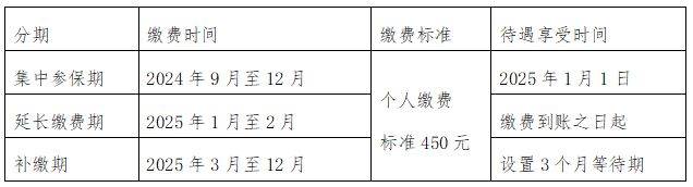 2025福建厦门居民医保延长缴费时间