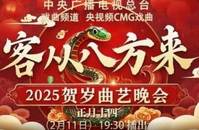 2025全国元宵节晚会汇总(播出时间+平台+节目单)(5) 2025全国元宵节晚会汇总(播出时间+平台+节目单)(5)