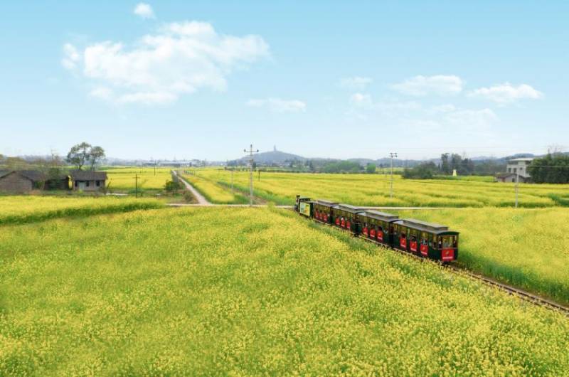 2025重庆潼南油菜花观赏攻略（时间、地点、游览路线）（2）