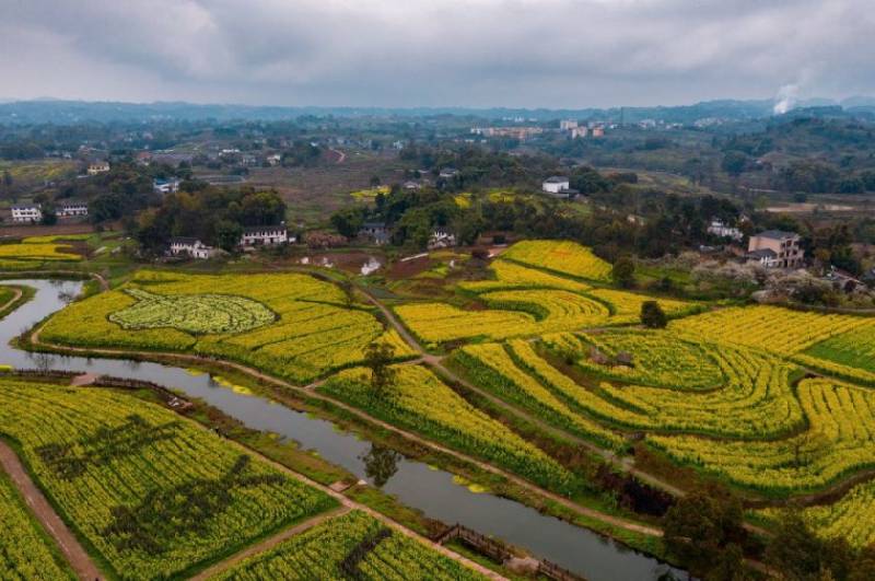 2025江津黄庄油菜花节时间、地点、游玩攻略
