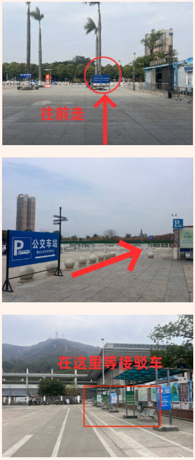 2025年清远马拉松赛前领物接驳公交安排（时间+线路+乘车点）