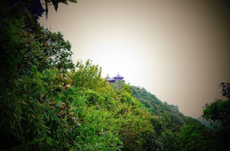 杭州有哪些适合野餐的公园（交通+门票+开放时间）