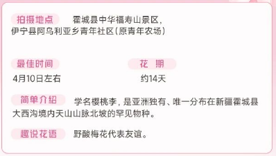 伊犁春季赏花花期攻略（赏花时间+花期+地点）（3）