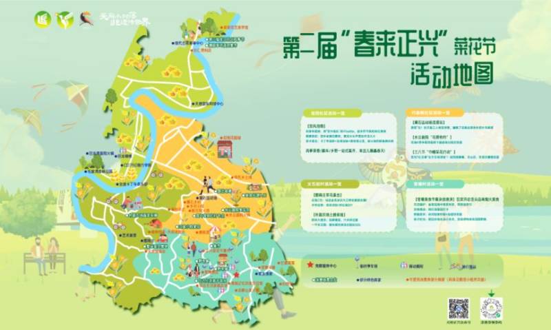 天府新区第二届春来正兴菜花节活动时间+地点+安排（2）
